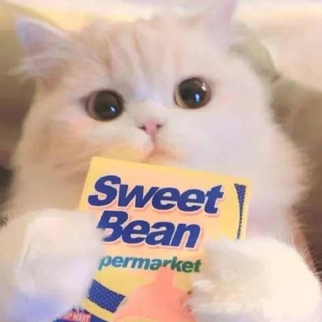 Auroruaa Aurora Zhang Github - Best Gradient Photos in 4K