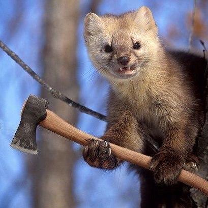 Sapunov Servercore Ilya Sapunov Github - Download Gorgeous Space Photo | 8K