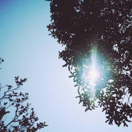 Github Fever Rui Data Visualization - Geometric Illustration Collection - 4K Quality