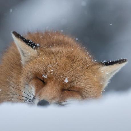 Merelydust River Github - Creative Geometric Photo - Mobile