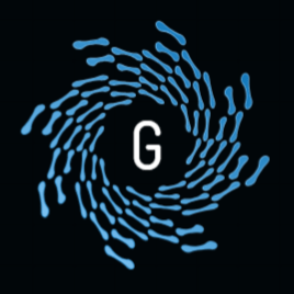 Genauto Inc Github