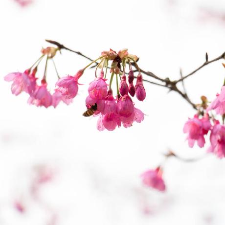 Klive App Github - Premium Minimal Illustration Gallery - High Resolution