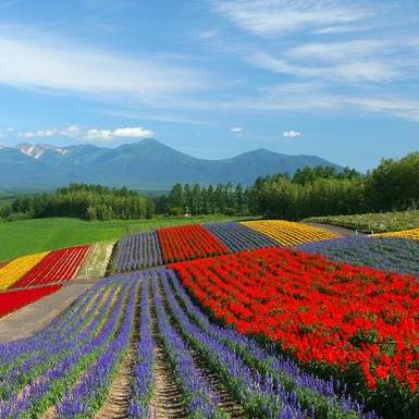 Stephaniepay Stephanie Github - Abstract Wallpapers - Elegant High Resolution Collection