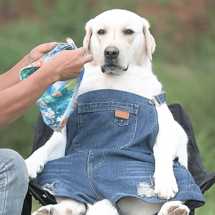 Jonathanwhen (Jonathan) · GitHub