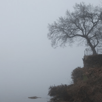 Aried3r Anton Rieder Github - 8K Minimal Illustrations for Desktop