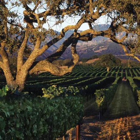 Farm Cellar Github - Desktop Mountain Images for Desktop