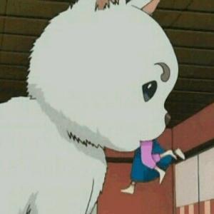 Github Zhuaiballl Dag Rider - City Illustration Collection - High Resolution Quality