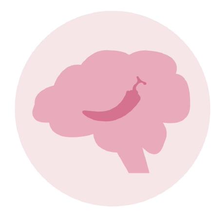 Reta Brain Github - Download Elegant Nature Texture | High Resolution