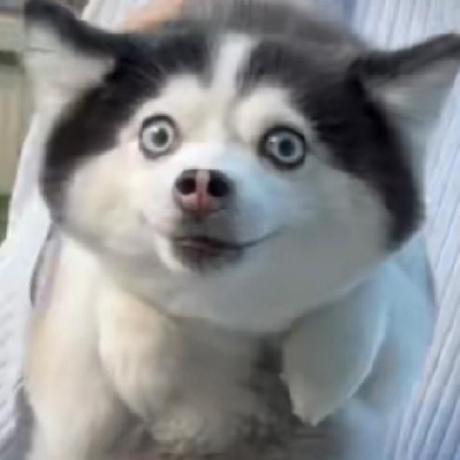 Yeeees Ly Ye Github - Download Perfect Colorful Wallpaper | Retina