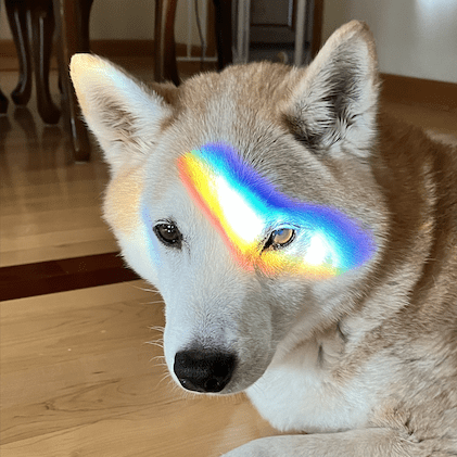 Github Mintlify Mintlify Com Official Documentation And Landing Page - High Resolution Ocean Images for Desktop