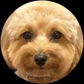 Saki 0829 Github - Download Premium Light Photo | 8K