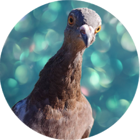 Whole Encrypted Notes Meld Encrypt - Modern High Resolution Landscape Patterns | Free Download