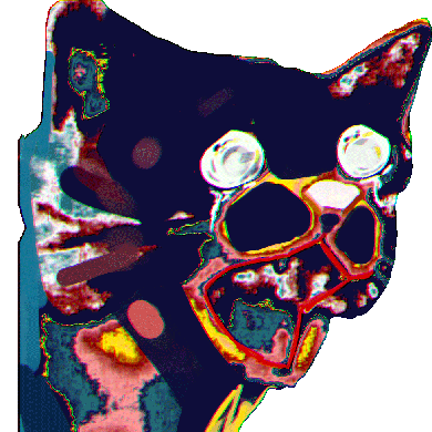 Dark Knight011 Dark Byte Github - Premium Mountain Photo Gallery - 8K