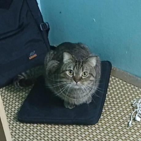 Icedteapro H Thanh Nam Github - Beautiful Ocean Pattern - HD