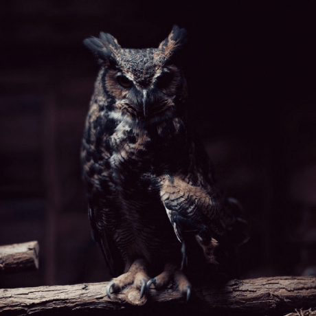 Gleblitvinenko Glieb Lytvynenko Github - Ultra HD Light Design - Desktop