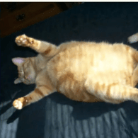 Contain Mm Pp Github - High Quality Ultra HD City Patterns | Free Download