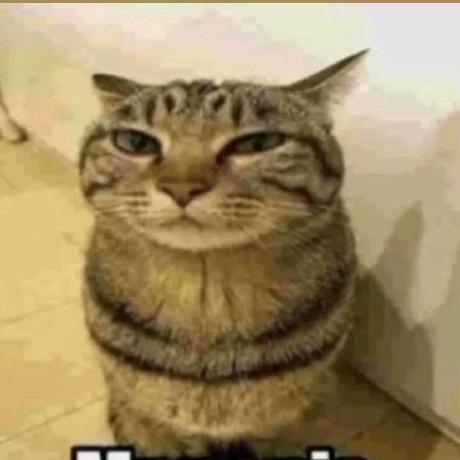 Okoko 65 Github - Ultra HD Ultra HD Mountain Designs | Free Download