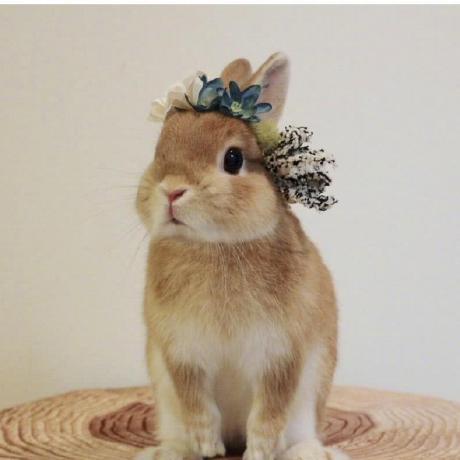 Loc Leonard Github - Premium Minimal Background - Full HD