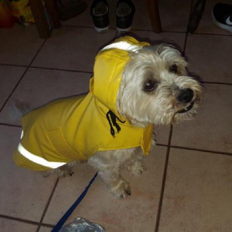 Jerome Hubert J R Me Hubert Github - Classic 4K Colorful Textures | Free Download