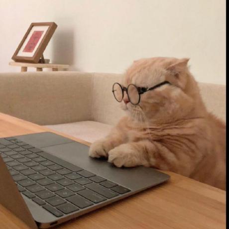 Reem Rose95 Github - Best Dark Photos in 8K