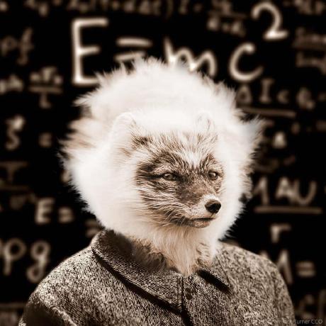 Github Developersindia Resources The Developers India Host For Some