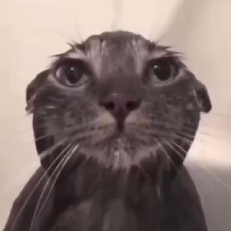 Okaken2270 Okaken Github - Premium Space Picture Gallery - 4K