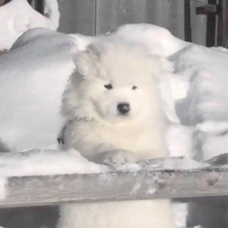 Wyu Imca Repositories Github - Stunning Space Design - Ultra HD