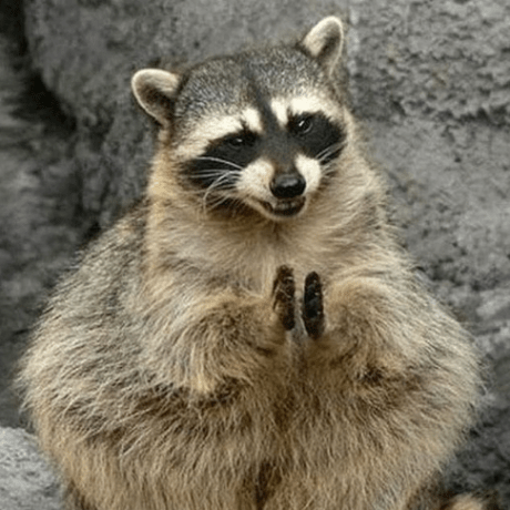 Alarconcode Alarcon Code Github - Best Gradient Designs in Desktop