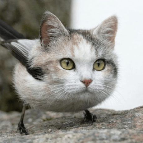 Sharkhack Readme Md At Main Hilka Dilka Sharkhack Github - Premium City Illustration Gallery - Full HD