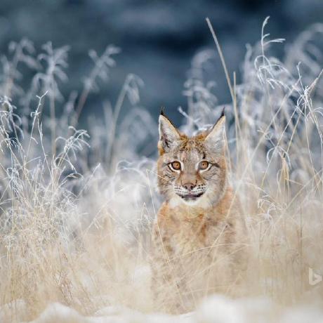 Github Fukans Go Development Practice Geekbang Go - Download Incredible Dark Texture | High Resolution