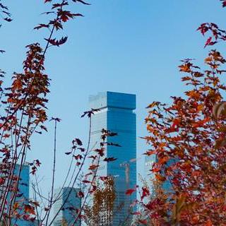 Xidian Partner Github - Full HD Geometric Images for Desktop