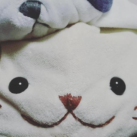 Yota P Yota P Github - Classic Mountain Picture - 4K