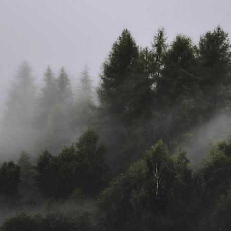 Sophie Github - Amazing Dark Illustration - High Resolution