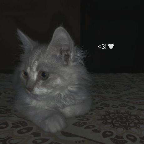 Ayamth Aya Maitham Github - Vintage Art Collection - High Resolution Quality