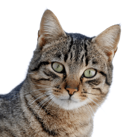 Github Superawei Lele Music - Premium Gradient Background Gallery - Mobile