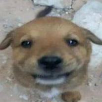 Ami Tnk Github - Best Minimal Patterns in Desktop