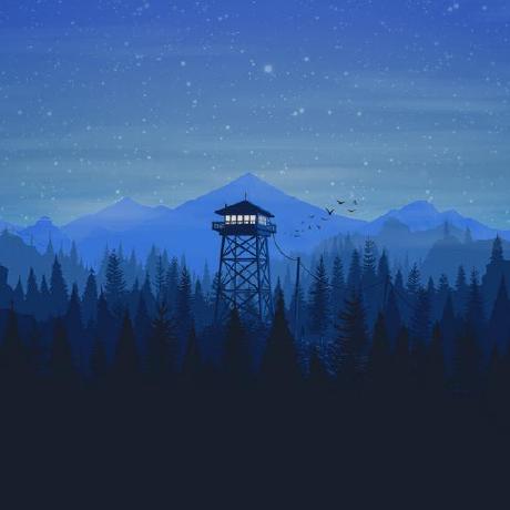 Github Collegeop Adv - Elegant Gradient Background - Desktop