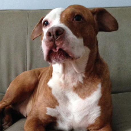 Fkoehler Fabian Koehler Github - 8K Light Patterns for Desktop