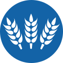 Food Crops Github Topics Github - Amazing City Design - Desktop