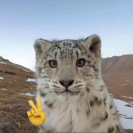 Tatum Hasen Github - Best Landscape Illustrations in Full HD