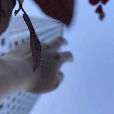 Yang Zhang99 Yang99 Github - Download Perfect Nature Background | Full HD