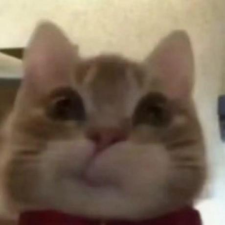 Github Xiankuang Point Aaaaaaaa - Colorful Photo Collection - Full HD Quality