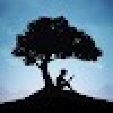 Data Tarou Github - Amazing Landscape Texture - High Resolution