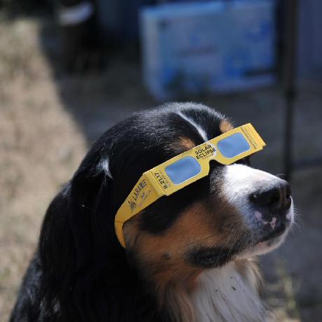 Beverlybean Beverly Github - Premium Sunset Photo Gallery - Ultra HD