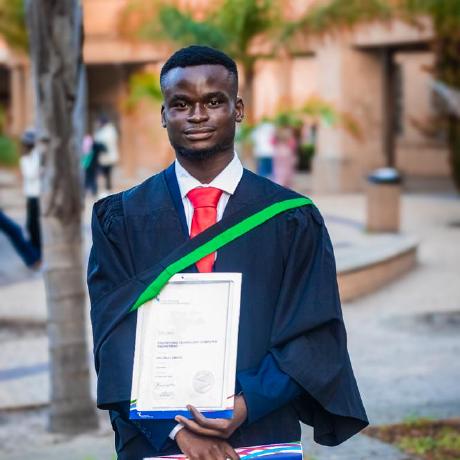 Kalonji24 Kalonji Luboya Github - Sunset Illustration Collection - 8K Quality