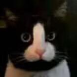 Github Suru Ach Live Tracker2 - Sunset Wallpaper Collection - Desktop Quality