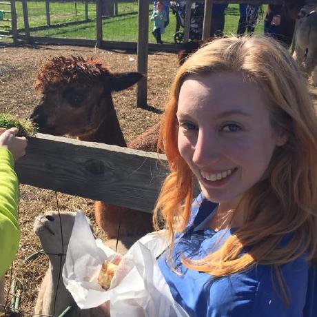 Jaffe Hub Jaffe Github - Download Professional Sunset Photo | Mobile