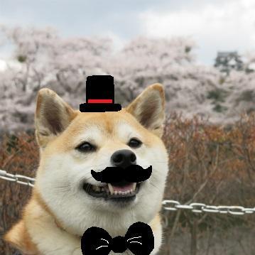 M Wolff Matthias Wolff Github - Ultra HD Gradient Texture - 4K