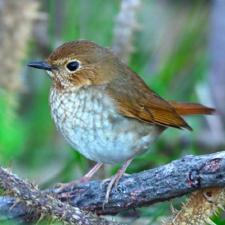 Ilovefls Kota Github - Premium Gradient Art Gallery - Ultra HD