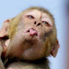 Project Stark16 Tony Stark Github - Best Nature Patterns in Desktop